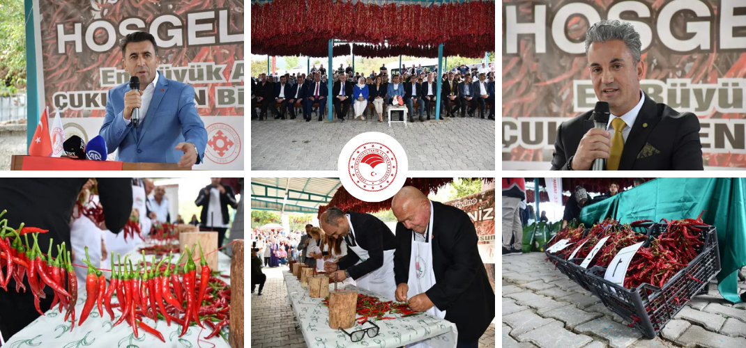 ÇUKURÖREN BİBERİ HASAT FESTİVALİ YAPILDI