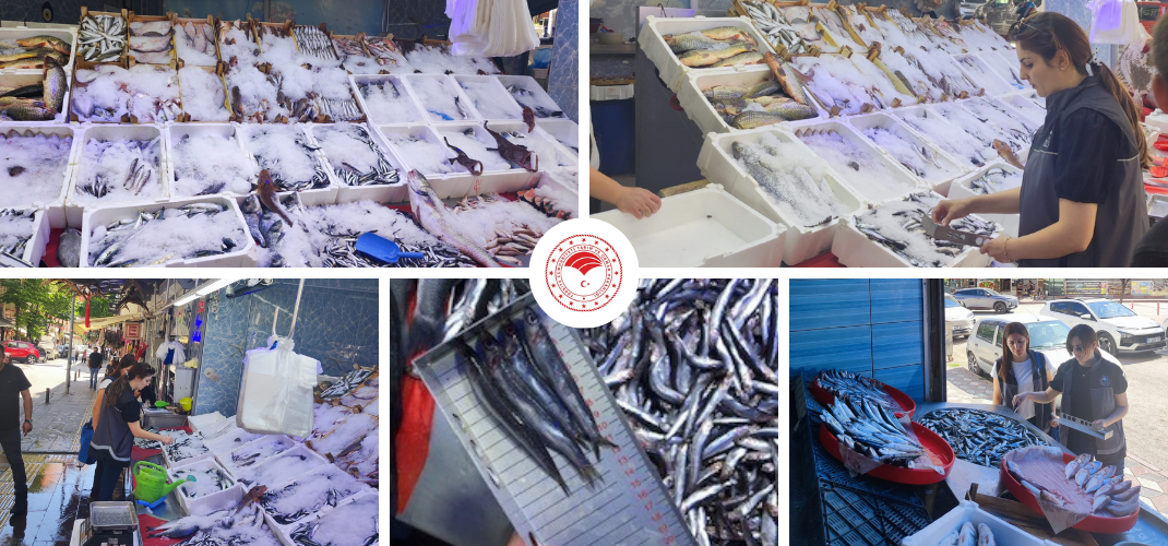 BİLECİK’TE PERAKENDE BALIK SATIŞI YAPAN YERLER DENETLENDİ