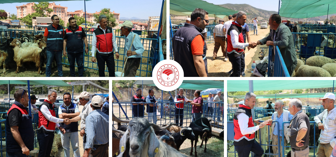 KURBAN SATIŞ VE KESİM NOKTALARINDA DENETİMLERİMİZ DEVAM ETMEKTEDİR