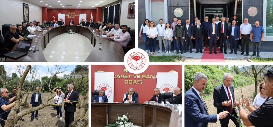 MEYVE BAHÇELERİNDE DON ZARARI KONUSUNDA EĞİTİM GERÇEKLEŞTİRİLDİ