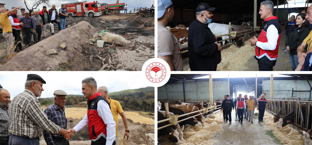 YANGINDAN ETKİLENEN HAYVANLAR İÇİN TAHLİYE VE ZARAR TESPİT ÇALIŞMALARI SÜRÜYOR
