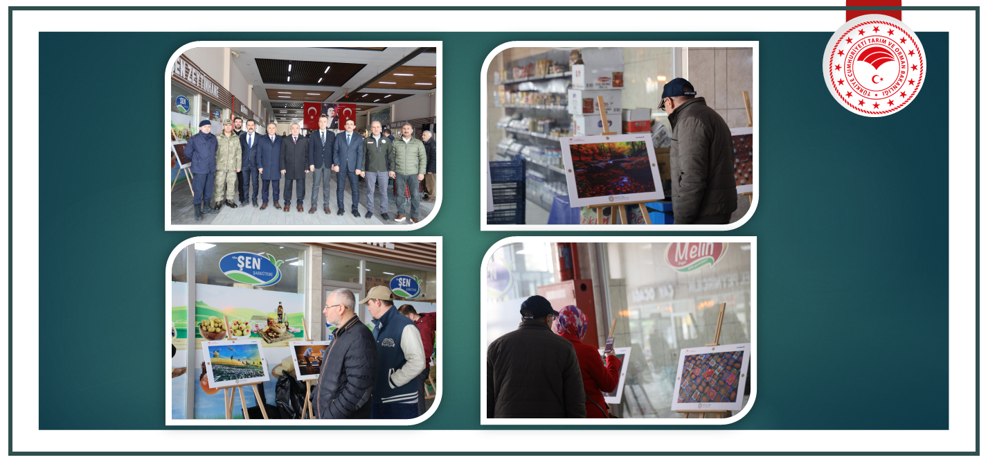 15. Uluslararası Tarım Orman ve İnsan Fotoğraf Yarışmasının Fotoğrafları  Bozüyük’te Sergilendi